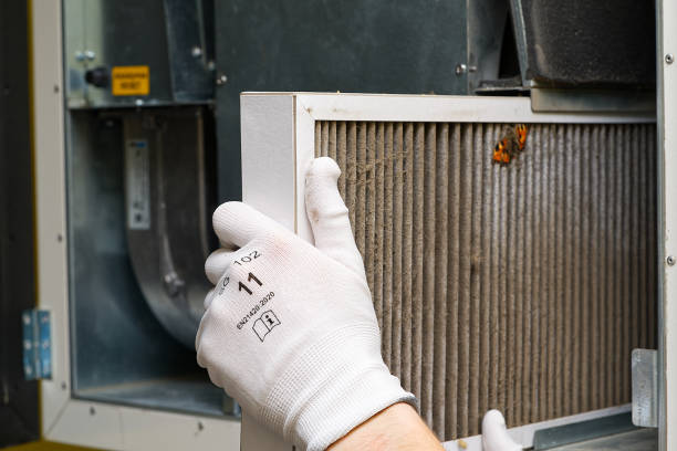 Best Emergency Air Duct Cleaning  in Rancho San Diego, CA
