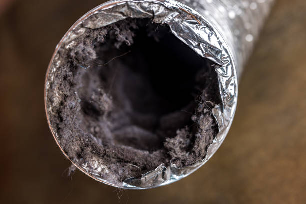 Best Affordable Air Duct Cleaning  in Rancho San Diego, CA